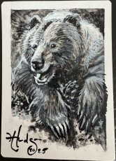 画像1: Tranquil Thicket(Proof) (1)