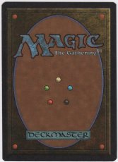 画像2: White Knight [Summer Magic] (2)