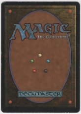 画像2: Taiga [3ED] (2)