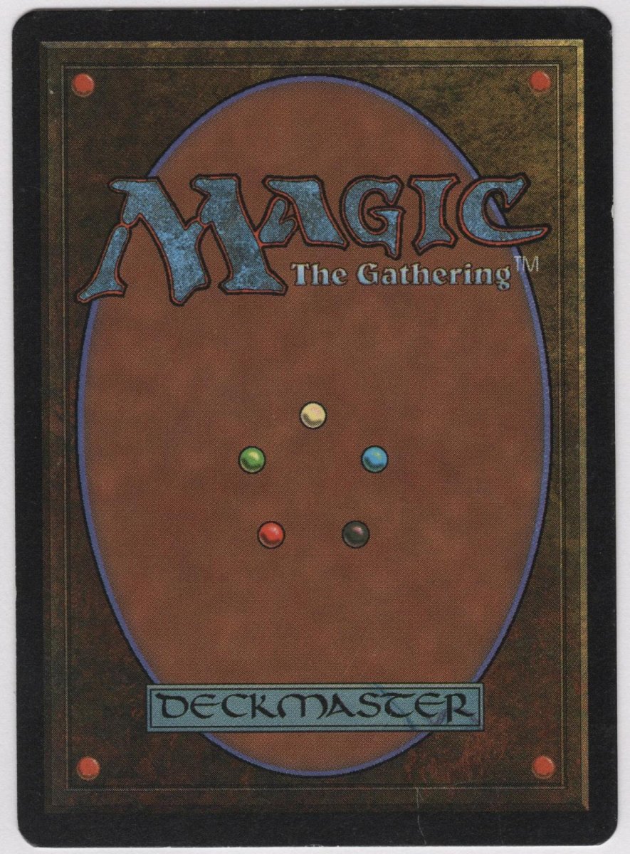 画像2: Tropical Island [3ED] (2)