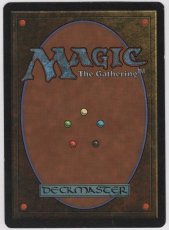 画像2: Tropical Island [3ED] (2)