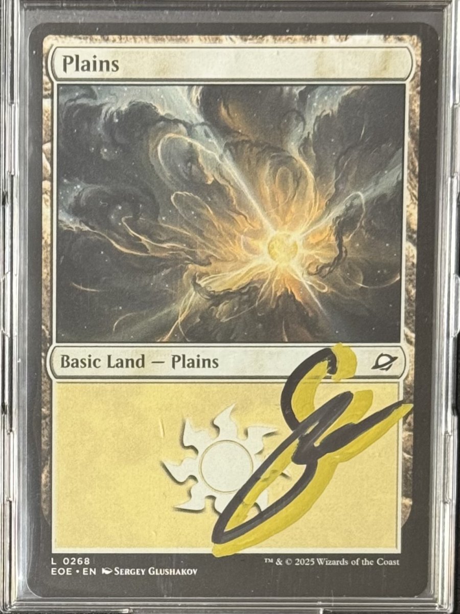 画像2: Plains [Non Foil] (2)