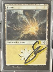 画像2: Plains [Non Foil] (2)
